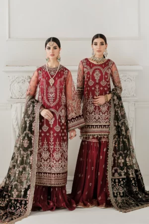 baroque-chantelle-uk-pakistani-dress-ch10-d07a